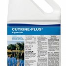 Cutrine-Plus Algaecide, 1 gal for pond, lake,potable water