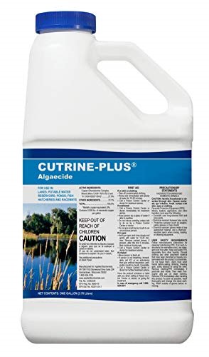 Cutrine-Plus Algaecide, 1 gal for pond, lake,potable water