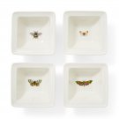 Portmeirion Botanic Garden Harmony Accents Square Dish - Set of 4 Portmeirion Botanic Garden Harmony Accents Square Dish - Set of 4