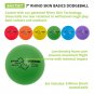 Champion Sports Rhino Skin Basic Dodgeball Set BAS7SET 7 Inch Foam Balls Set of 6 with Mesh Bag