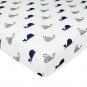 TL Care 2 Pack Cotton Jersey Knit Fitted Portable Mini Crib Sheets Printed