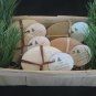 Gift Basket 1. Low shipping price!