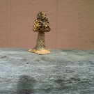 Black Morel Mushroom