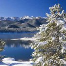 Aspen Winter 8oz Candle