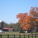 Fall in New England