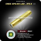 Bronte RA01 Gold R5 80LM 3-Mode LED White Light Flashlight (1 x AAA) Mini Camping Hiking Torch