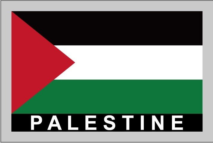 2 Temporary Skin Palestine Country Flag Tattoo Sticker Party Favors ...