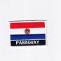 Paraguay MultiColor Country Flag Logo Embroidered Iron On Backing Heat Seal Patch