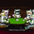 Silver Foxes at Play