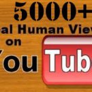 5000+ youtube real human views + 65 likes + 10 sensible comments within 4-5days