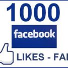1000 Facebook fans/Likes