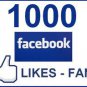 1000 Facebook fans/Likes
