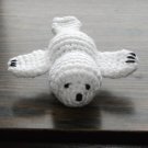Harp Seal Pup