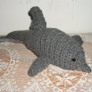 Bottle-nosed Dolphin