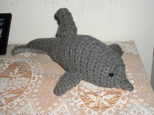 Bottle-nosed Dolphin
