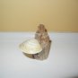 Mushroom Shell