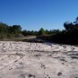 San Jacinto River Recreational Lot -half acre size