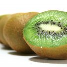 100+ Actinidia Chinensis ( Chinese Actinidia ) seeds 100+ Actinidia Chinensis ( Chinese Actinidia ) seeds