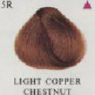 HerbaTint Light Copper Chestnut 5R Herbal Hair Color Gel 4.5 fl oz/135 ml #22691-0 UPC#666248001195