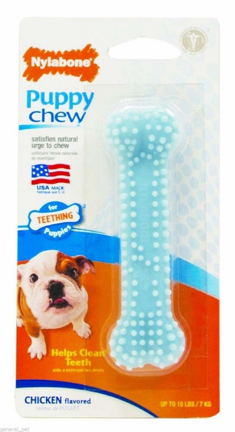 Nylabone Puppy Chew Teething Soft Bone Chicken Petite Blue