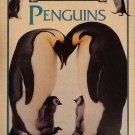 Eyes On Nature: Penguins