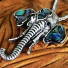 Sacred elephant abalone