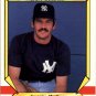 1987 Fleer Award Winners 16 Ron Guidry