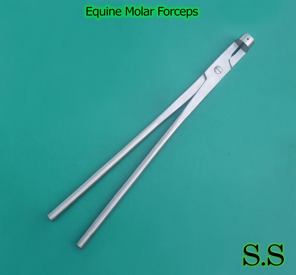 Equine Molar Forceps 17.5" With Serrated Jaw Veterinary Instruments S.S