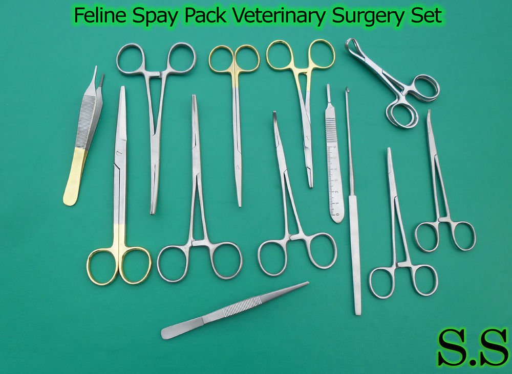 New Feline Spay Pack 19 Veterinary Animal Hospital Surgery Instruments ...