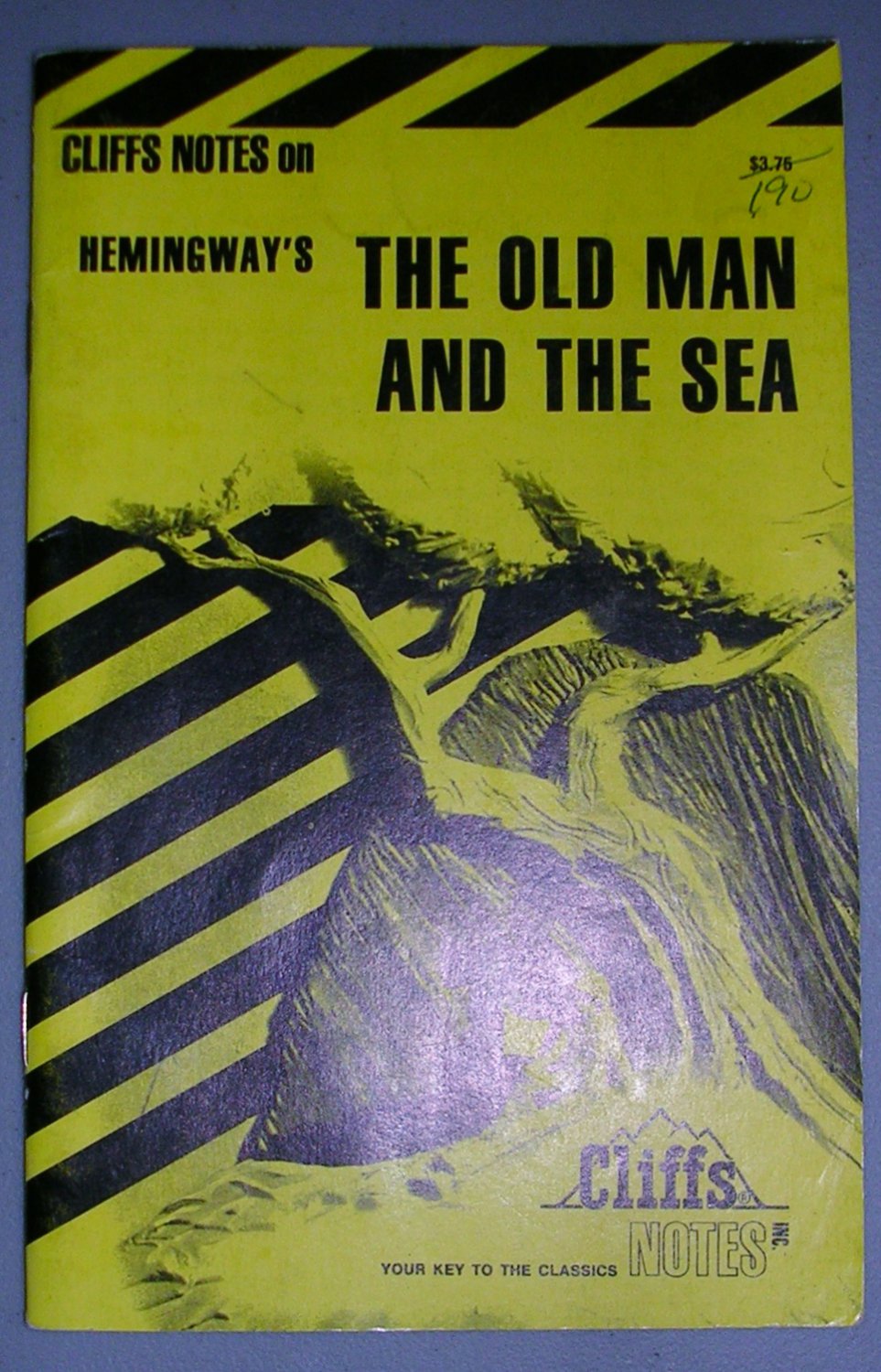 Cliffs Notes--Old Man and the Sea, Price Includes S&H