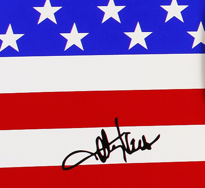 Toby Keith Autographed Signed Usa Flag Acoustic Guitar Country Music Legend