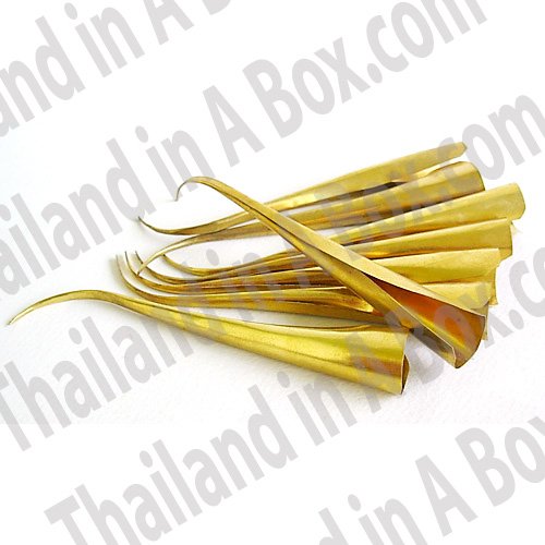 Thai Dance Brass Nails Extension Ram-Thai Dancer Costume