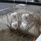 Breast Cancer Earrings  DC-E-0067