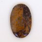 Stone Canyon Jasper Cabochon 2501
