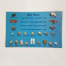 Sea Shell Names Postcard 1958 Identification Aquatic Life Beach Dexter Press