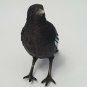 Black Bird White Stripes Warbler Hanging Ornament Figurine