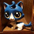 Littlest Pet Shop #39 Keena Catley Blue & White Kitty Cat  B4763 52851 Loose