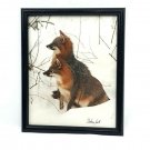 Graham Smith Apertures West 1991 Signed Nature Photograph Two Gray Fox In Snow