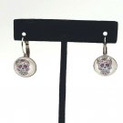 Painted Skull Earrings Day of the Dead El Dia De Los Muertos