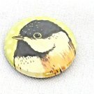 Button Pin Susie Ghahremani Art Pin Sparrow Chickadee 2010 BoyGirlParty