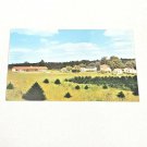 Vintage Maine Postcard Dutch Village Freeport Cabins Motel Travel US1 AAA