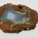 Polished Natural Thunder Egg Geode Slice Brown Blue Banded Agate