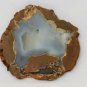 Polished Natural Thunder Egg Geode Slice Brown Blue Banded Agate