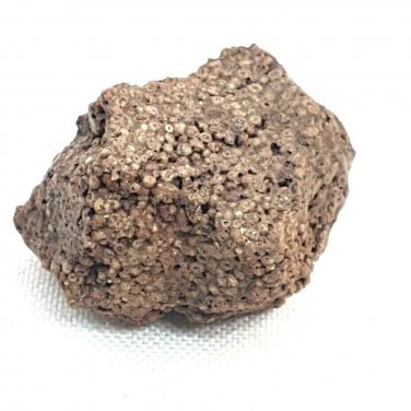 Oolite Sedimentary Stone Rough Red Brown Oolitic Spherical Grains Rock Lake Bed