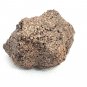 Oolite Sedimentary Stone Rough Red Brown Oolitic Spherical Grains Rock Lake Bed