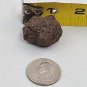 Oolite Sedimentary Stone Rough Red Brown Oolitic Spherical Grains Rock Lake Bed