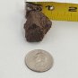 Oolite Sedimentary Stone Rough Red Brown Oolitic Spherical Grains Rock Lake Bed