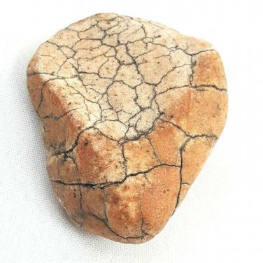 Snake Head Shaped Rock Stone Naturally Formed with Cracking Orange Red Brown 78g