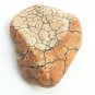 Snake Head Shaped Rock Stone Naturally Formed with Cracking Orange Red Brown 78g