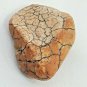 Snake Head Shaped Rock Stone Naturally Formed with Cracking Orange Red Brown 78g